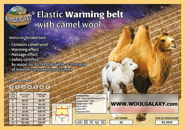 Elastic warming belt with camel wool WOOLGALAXY®