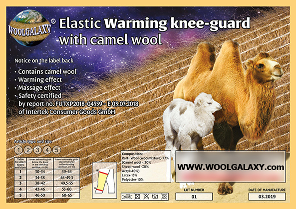 Elastic warming knee-guard with camel wool WOOLGALAXY®